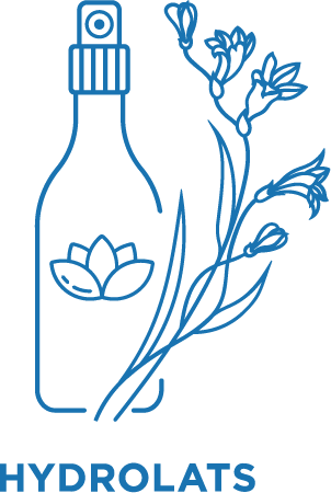 Hydrolat de Tea Tree BIO, Eau Florale & Aromathérapie